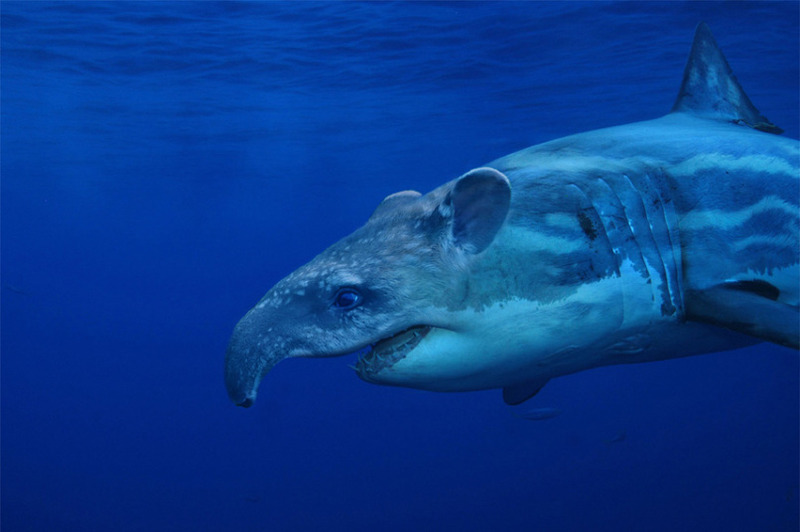 Illustration for article titled Common Animals Morphed Into Terrifying New Species